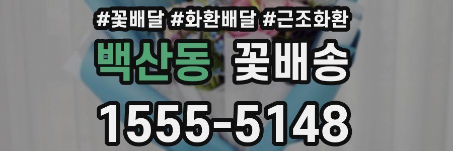 백산동 꽃배송