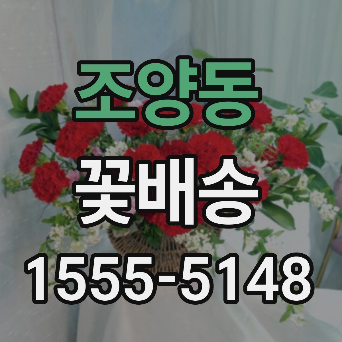 조양동 꽃배송