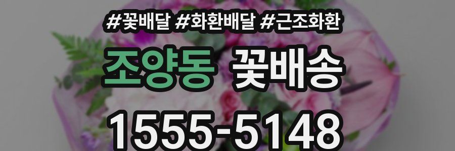 조양동 꽃배송