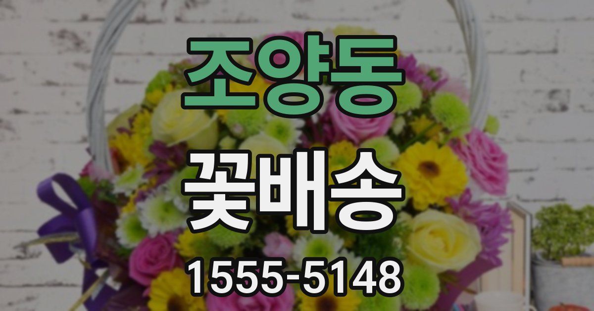 조양동 꽃배송