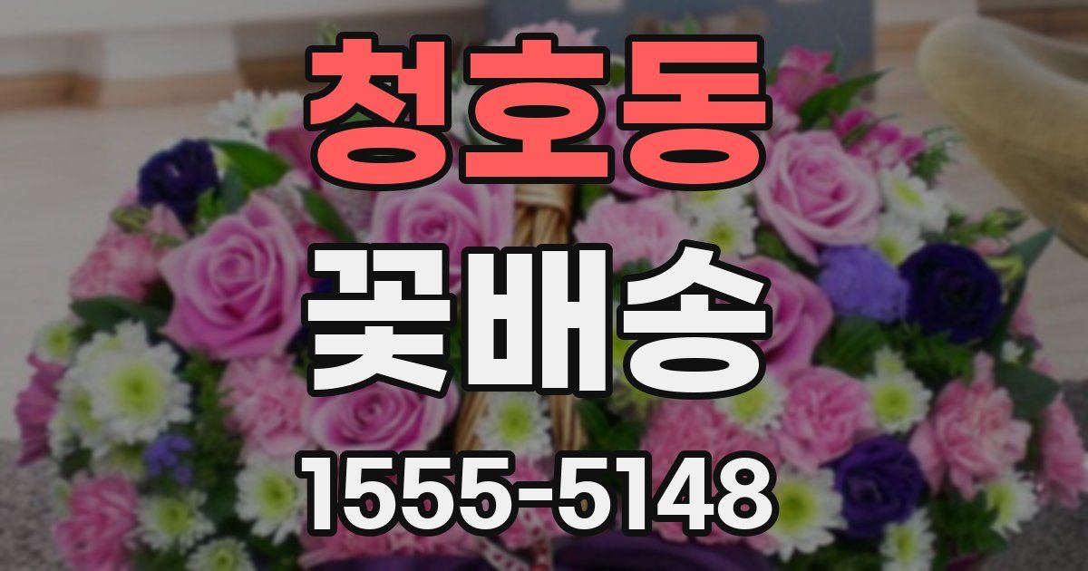 청호동 꽃배송