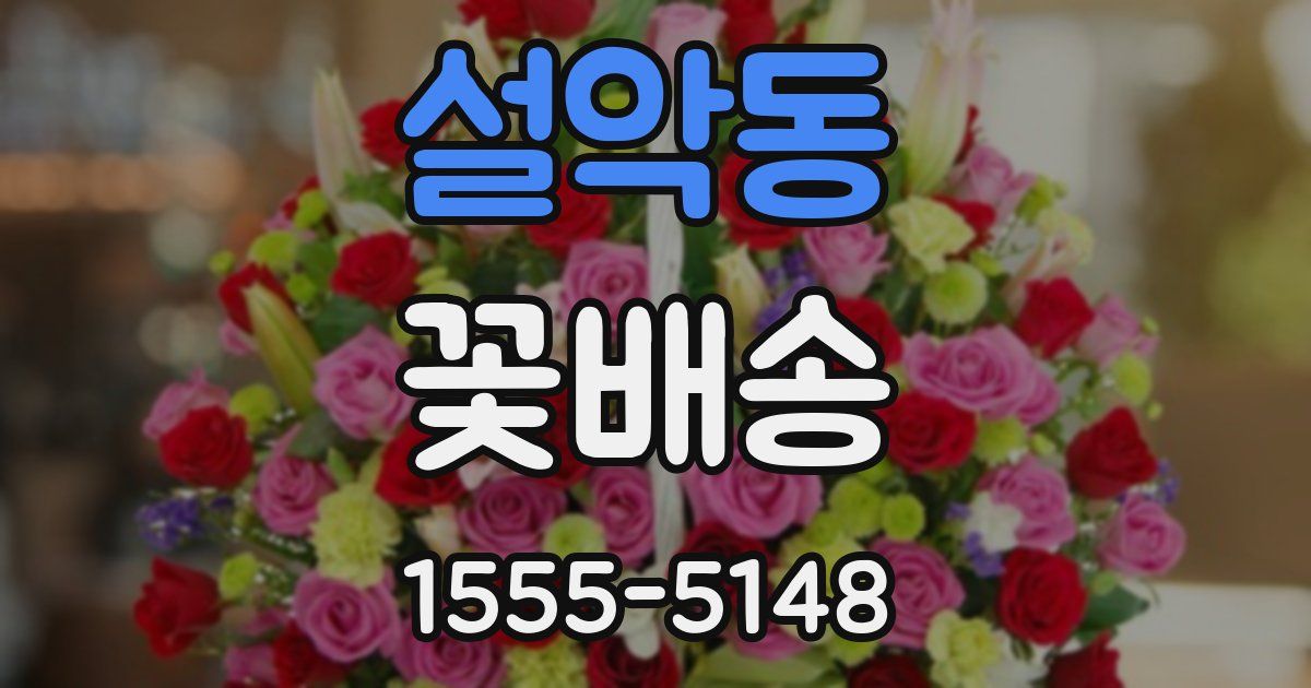 설악동 꽃배송