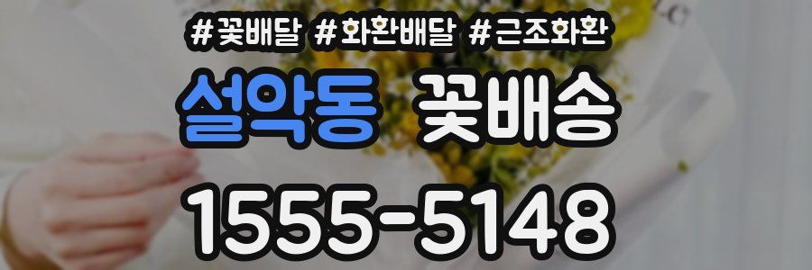 설악동 꽃배송