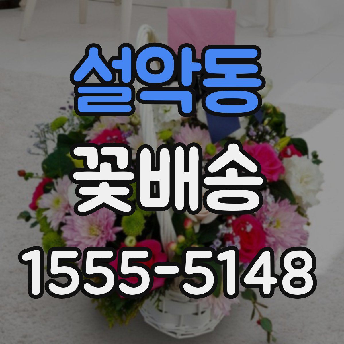 설악동 꽃배송