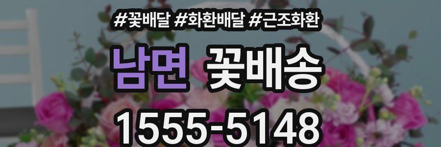 남면 꽃배송