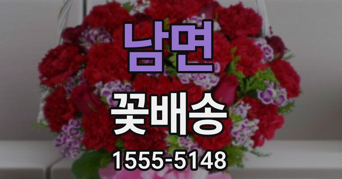남면 꽃배송