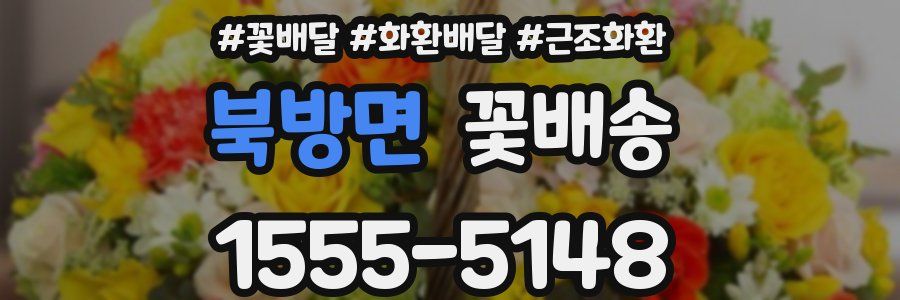 북방면 꽃배송