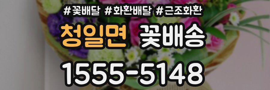 청일면 꽃배송