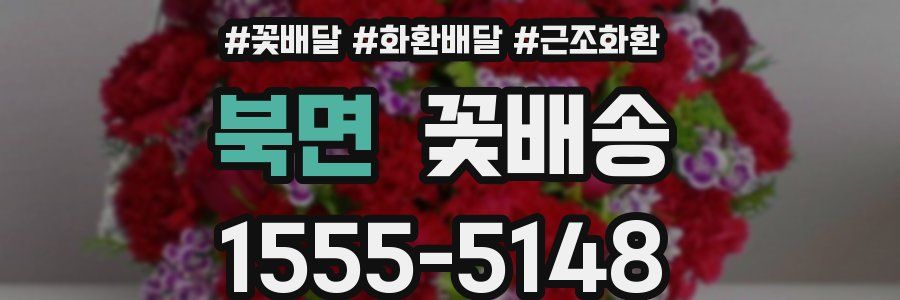 북면 꽃배송