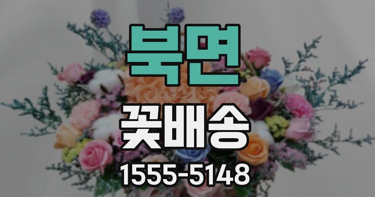 북면 꽃배송