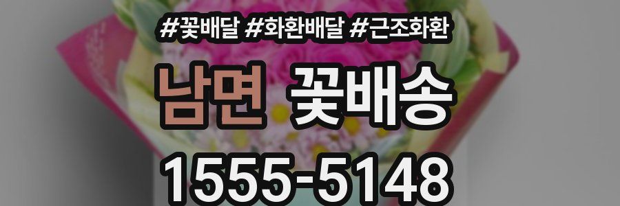 남면 꽃배송