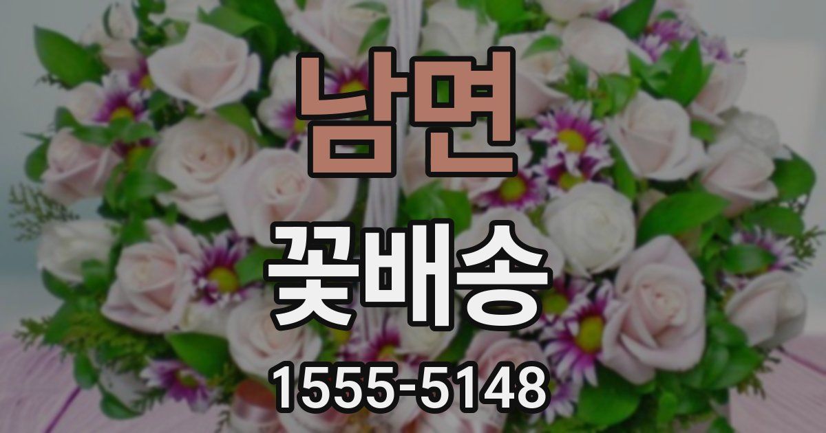 남면 꽃배송