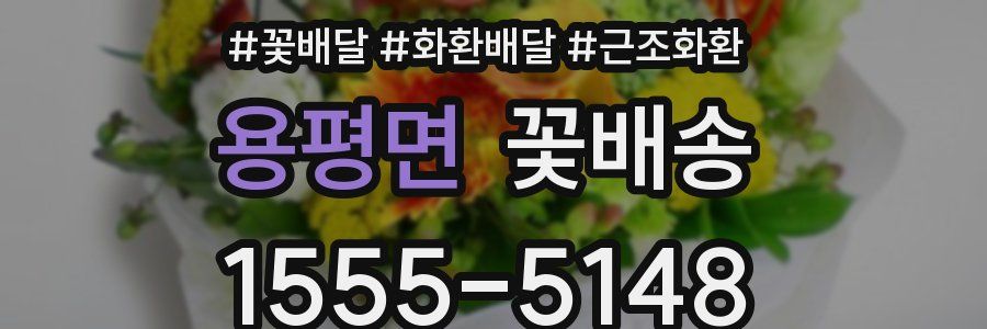 용평면 꽃배송
