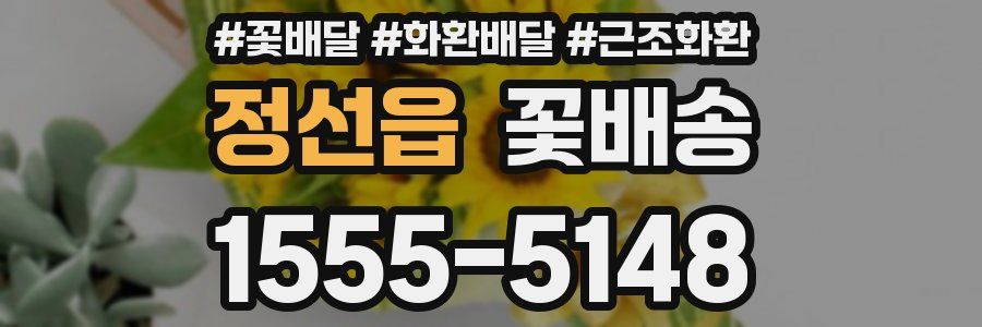 정선읍 꽃배송