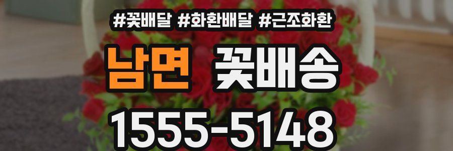 남면 꽃배송