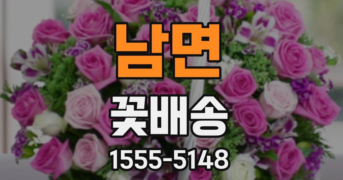 남면 꽃배송