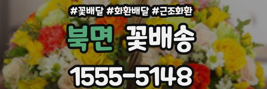 북면 꽃배송