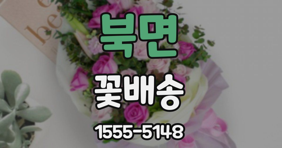 북면 꽃배송