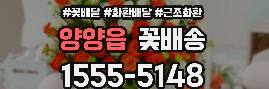 양양읍 꽃배송