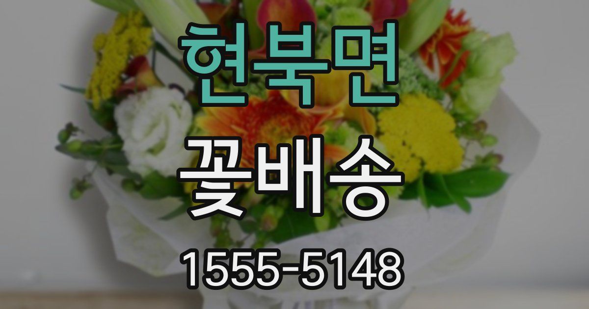 현북면 꽃배송
