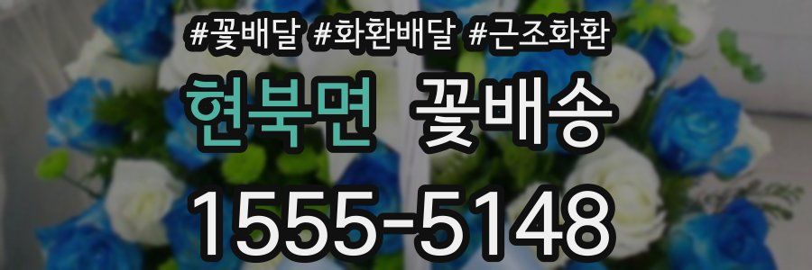 현북면 꽃배송