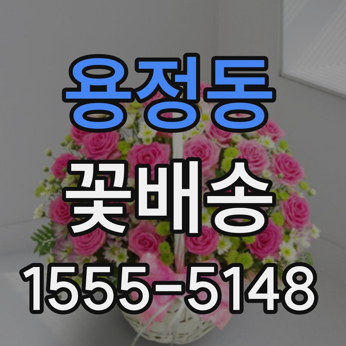 용정동 꽃배송
