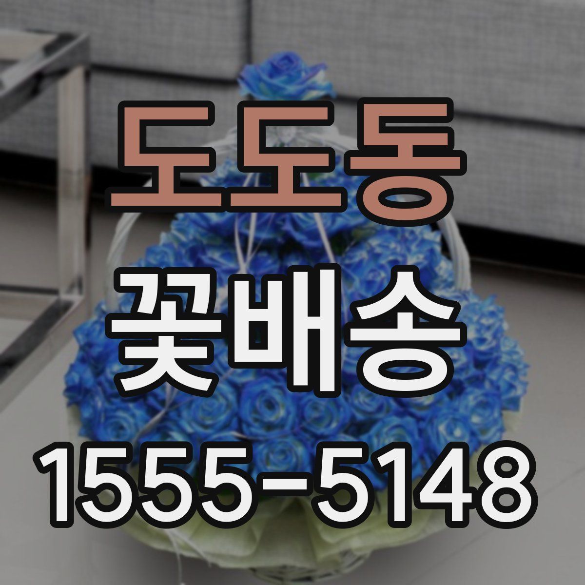 도도동 꽃배송