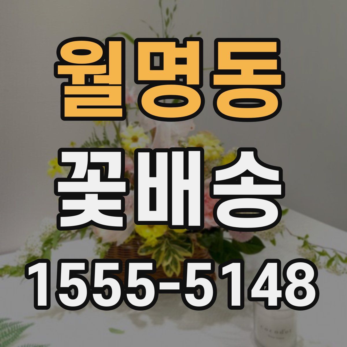 월명동 꽃배송