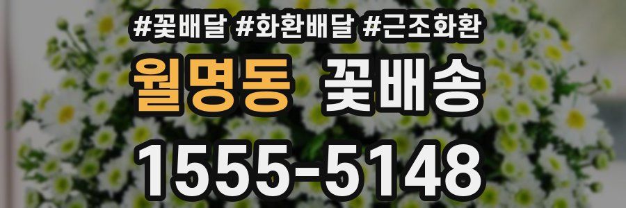 월명동 꽃배송