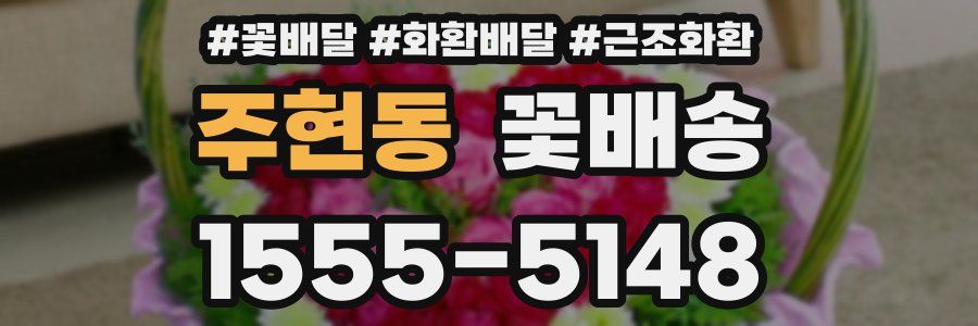 주현동 꽃배송