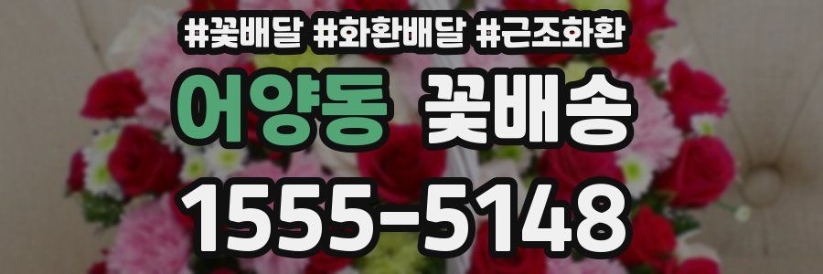 어양동 꽃배송