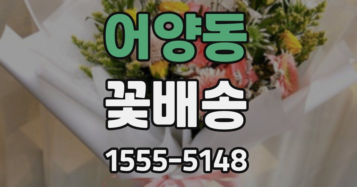 어양동 꽃배송