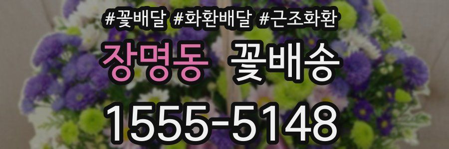 장명동 꽃배송