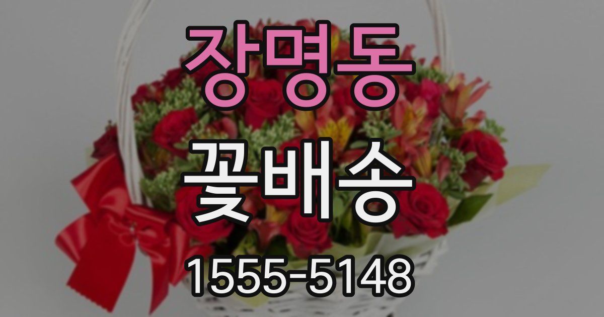 장명동 꽃배송