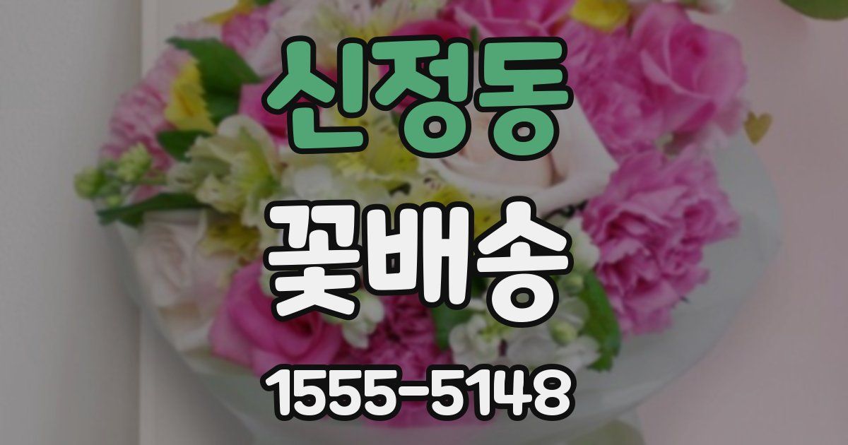 신정동 꽃배송
