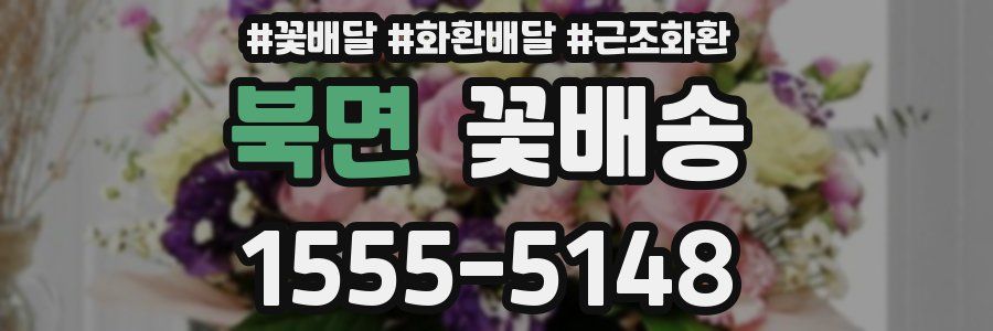 북면 꽃배송