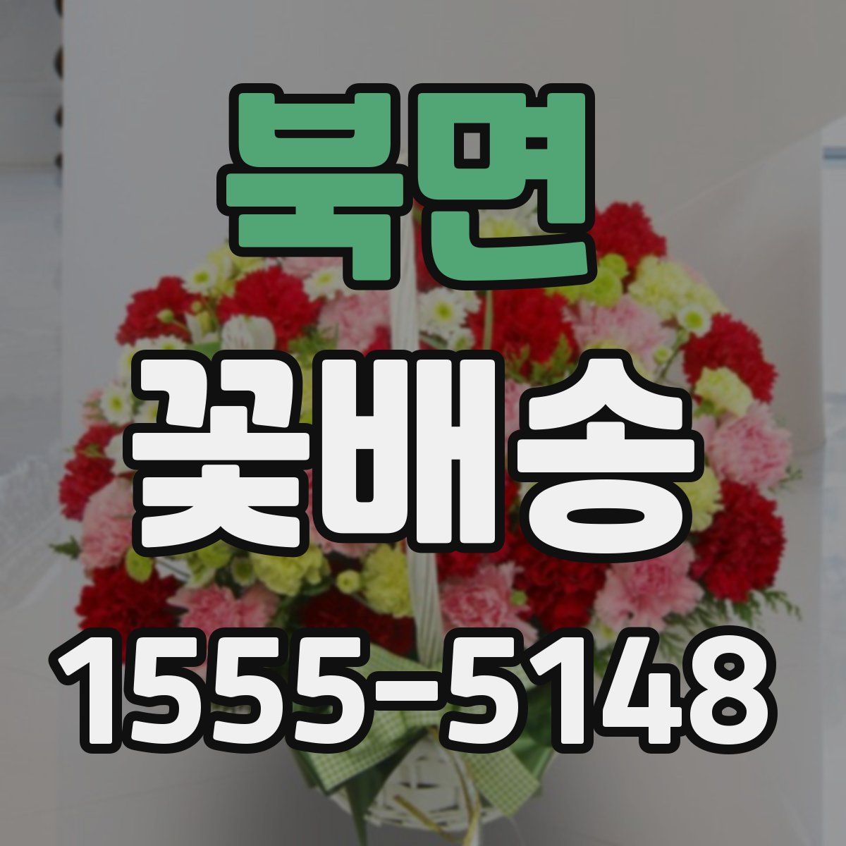 북면 꽃배송