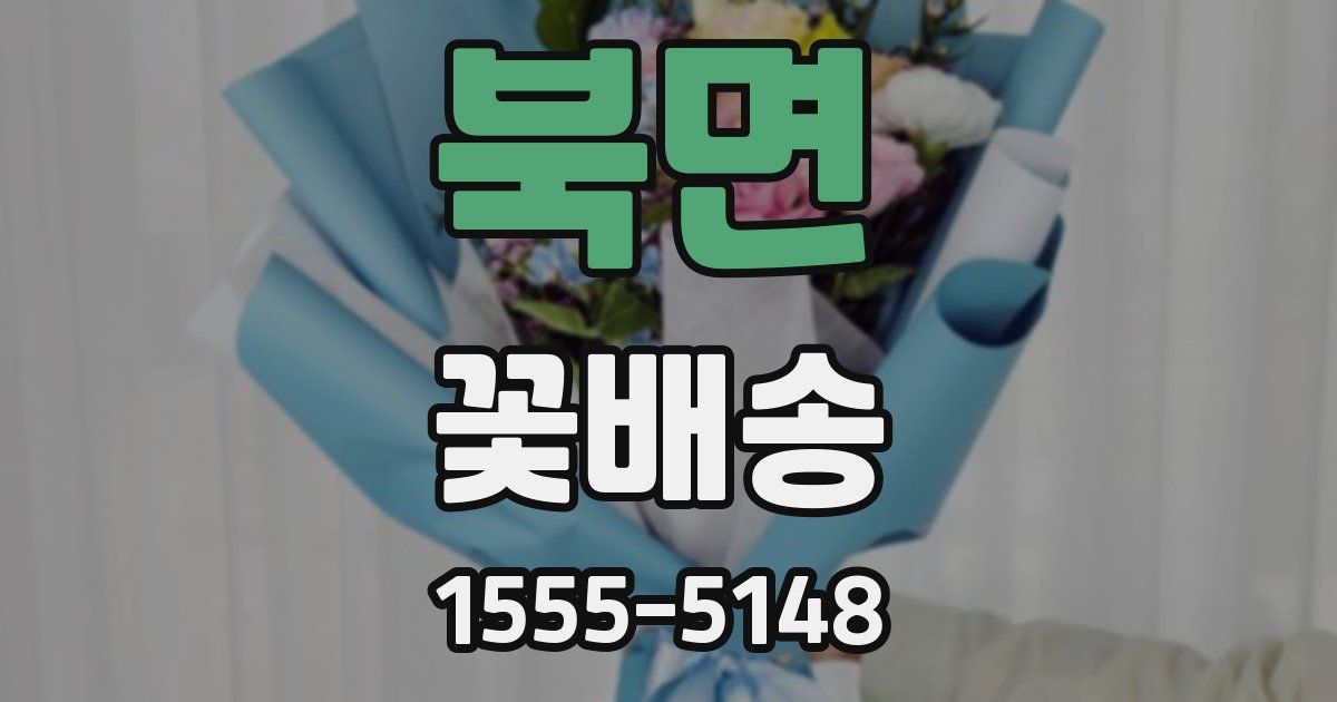 북면 꽃배송