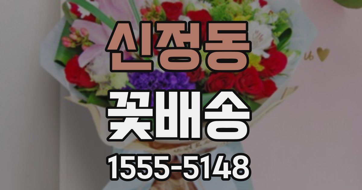 신정동 꽃배송