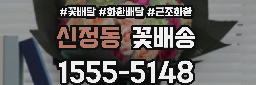 신정동 꽃배송
