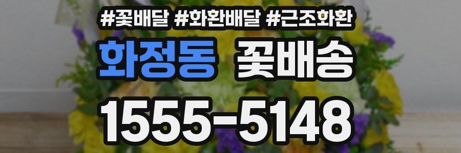 화정동 꽃배송