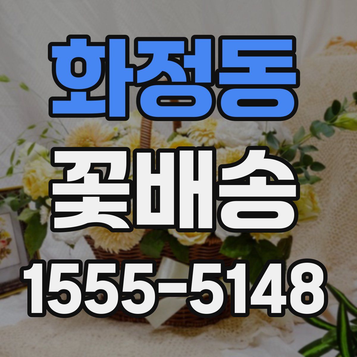 화정동 꽃배송