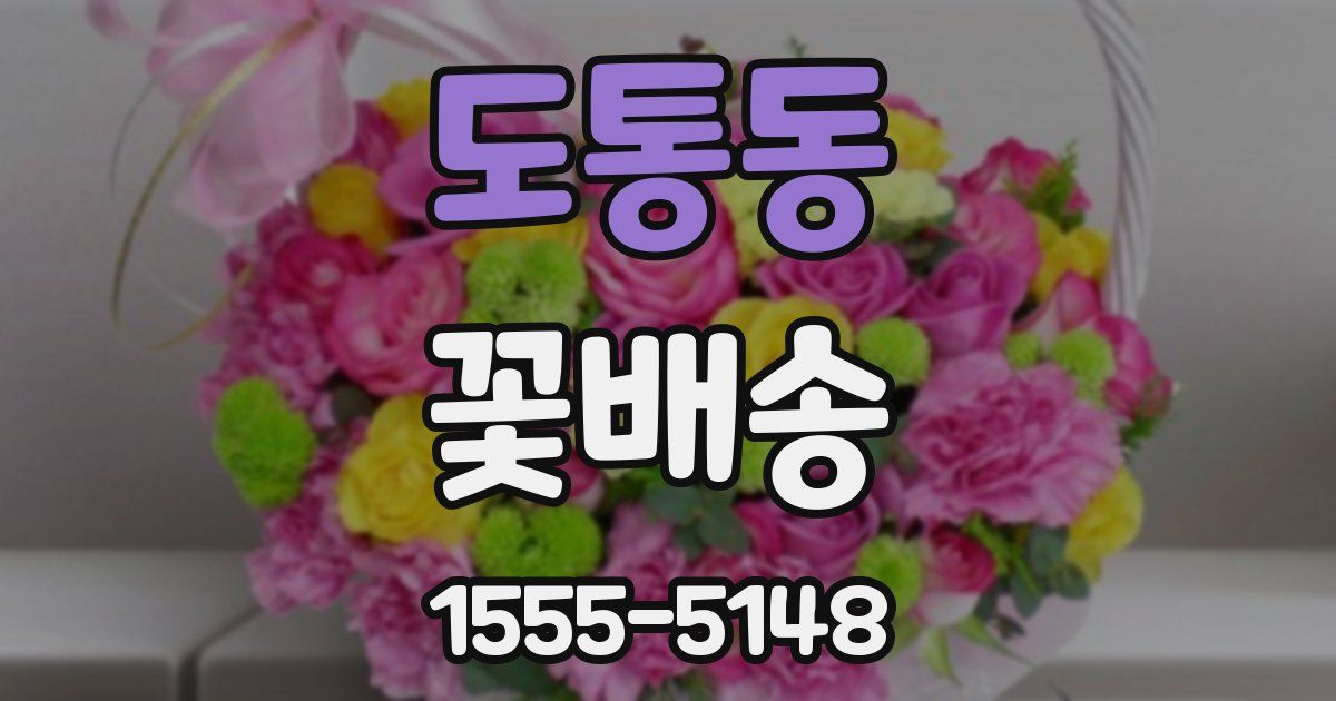 도통동 꽃배송