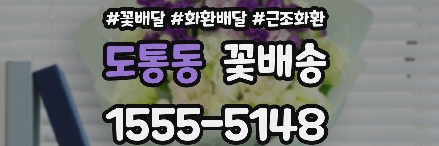 도통동 꽃배송