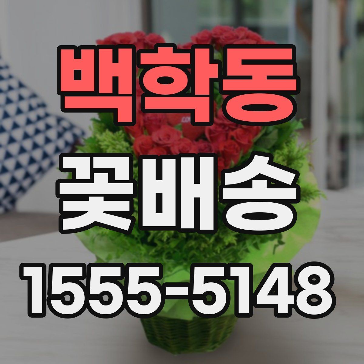 백학동 꽃배송 꽃 종류에 따라 달라지는 인상