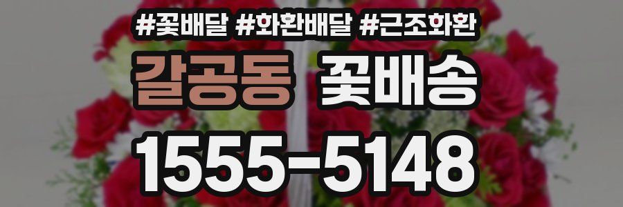 갈공동 꽃배송