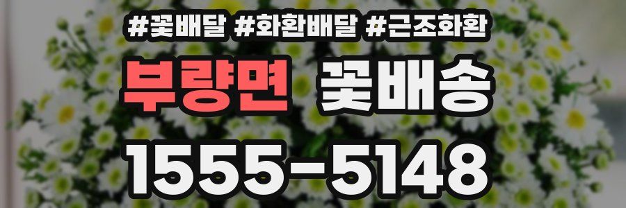 부량면 꽃배송