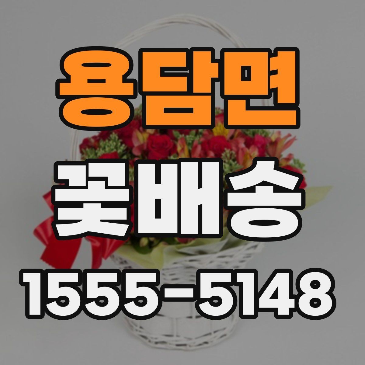 용담면 꽃배송 사진 촬영용으로 어울리는 스타일