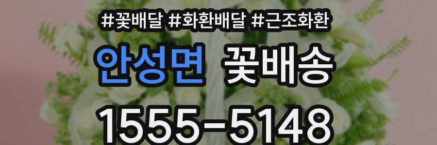 안성면 꽃배송