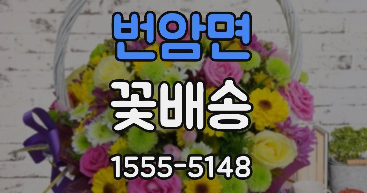 번암면 꽃배송